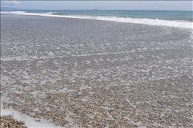 Haast Beach